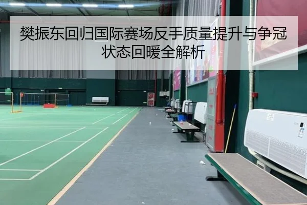 樊振东回归国际赛场反手质量提升与争冠状态回暖全解析
